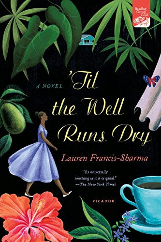 'Til the Well Runs Dry: A Novel